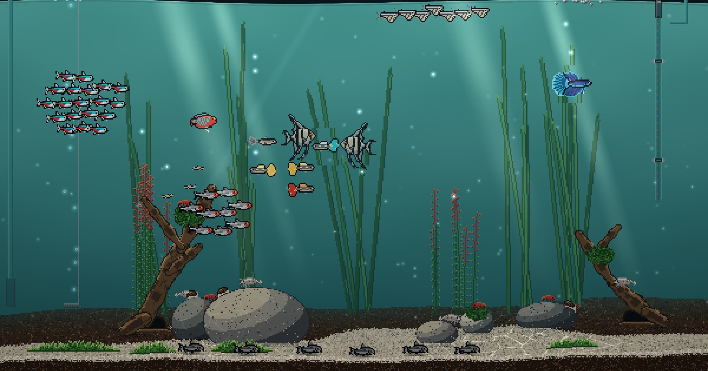 Aquariumの画面